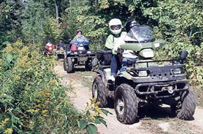 quad1.jpg